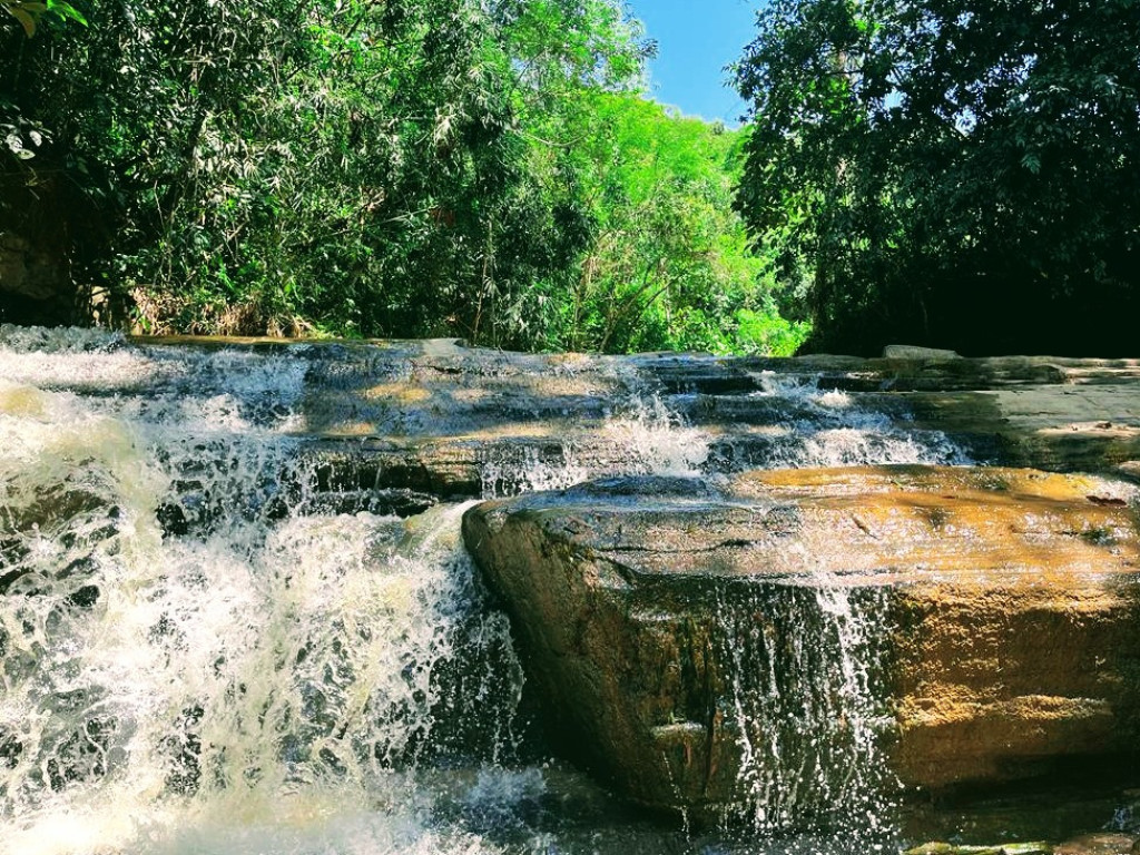 Foto: A graça da simplicidade