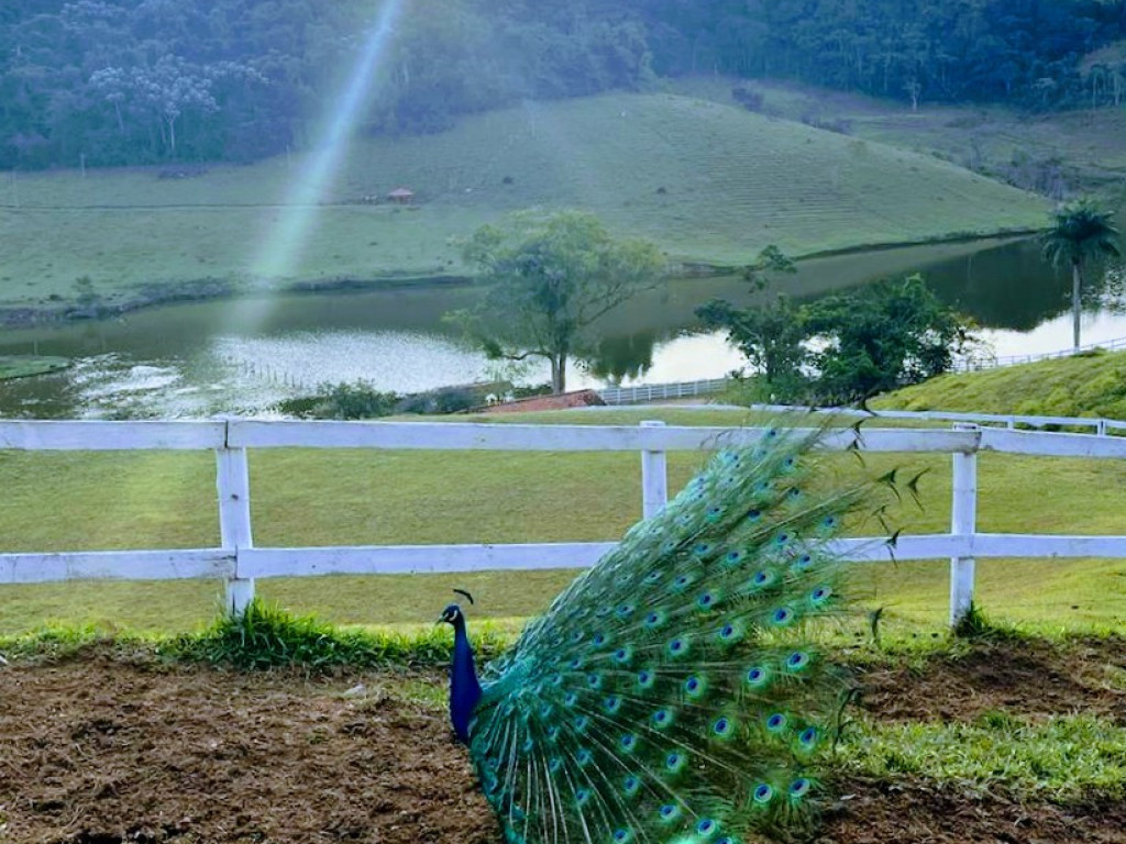 Foto: Tudo começa em Deus