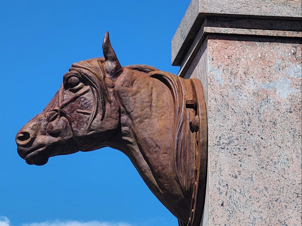 Foto: Triunfo a galope