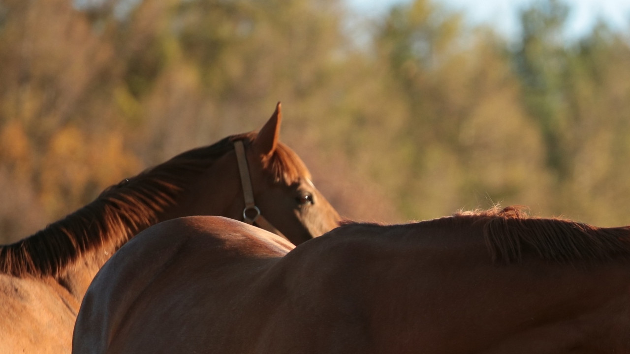 Foto: A import&acirc;ncia das vitaminas do complexo B